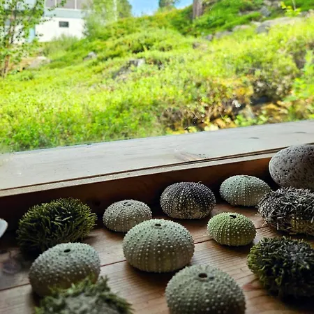 Manna Bb Hotel Karigasniemi