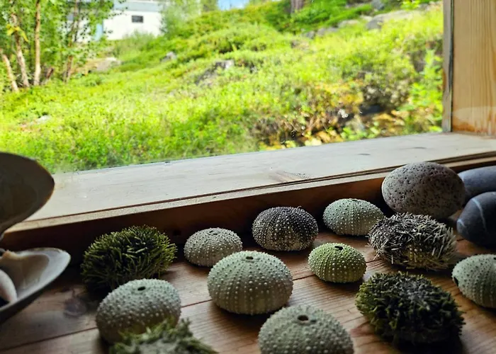 Manna Bb Szálloda Karigasniemi